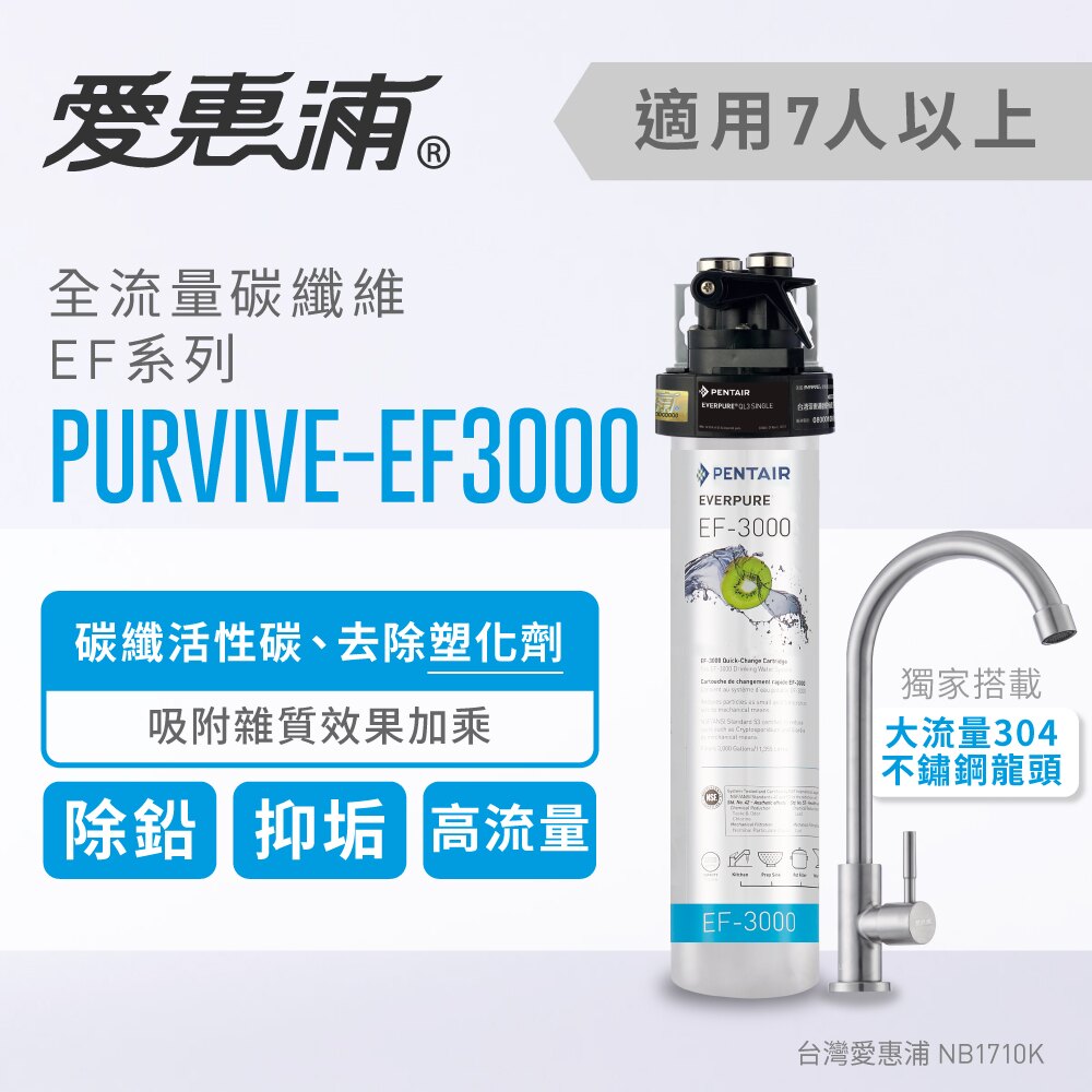 台灣愛惠浦 EF3000 全流量強效碳纖維淨水器